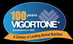 Vigortone feed logo